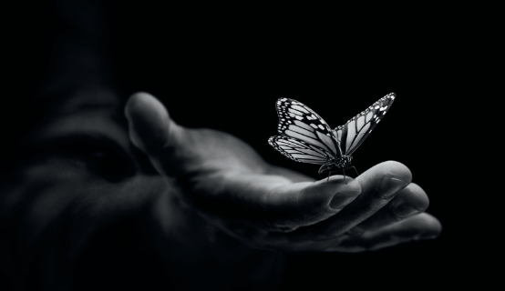 butterflyHand